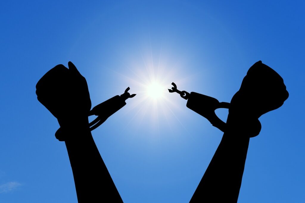 freedom, break, nature-4025802.jpg