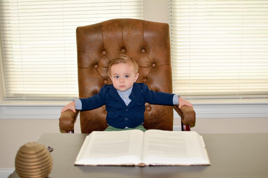 boy, toddler, ceo-633014.jpg